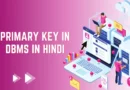 Primary Key in DBMS in Hindi | प्राथमिक कुंजी क्या है Primary Key in DBMS in Hindi,primary key kya hai, primary key in dbms in hindi, primary key in hindi, primary key kya hai, what is primary key in hindi, primary key in hindi, foreign key in hindi, primary key and foreign key in hindi, what is primary key in hindi, types of keys in dbms in hindi,
